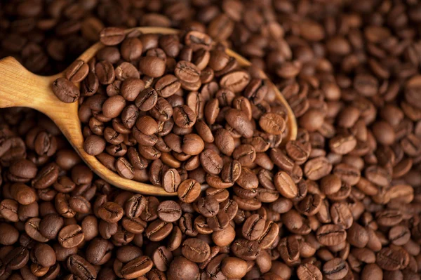 Los granos de café cierran — Foto de Stock