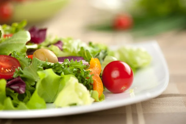 Sebze salatası — Stok fotoğraf