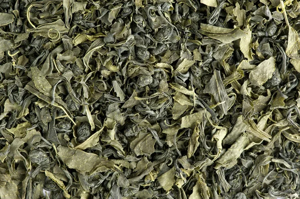 Zielona herbata w tle — Zdjęcie stockowe