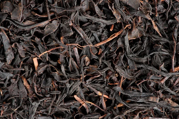 Hojas secas de té negro — Foto de Stock