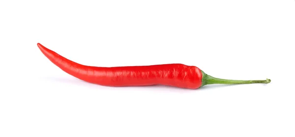 Červená horká chilli paprika — Stock fotografie
