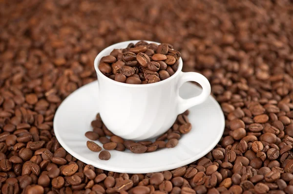 Cup of coffee beans Stock Picture
