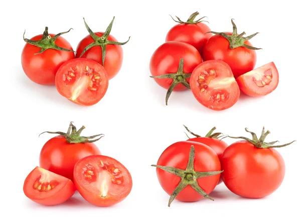 新鲜番茄集 — 图库照片