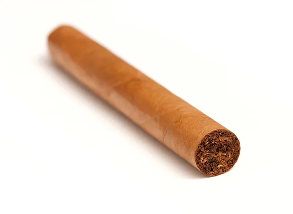 Makro av kubanska cigarrer i vit bakgrund — Stockfoto