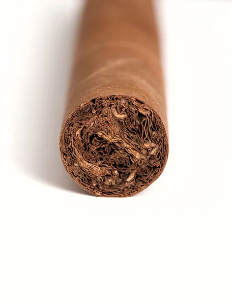 Cigarro aislado sobre fondo blanco —  Fotos de Stock