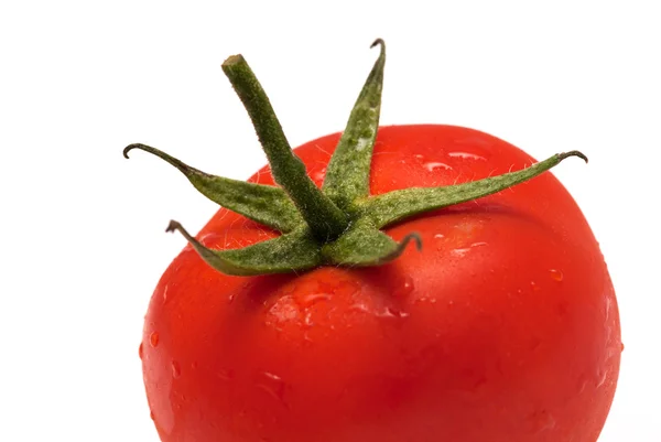 Ein Tomatenfragment Makroaufnahme isoliert über weißem Hintergrund — Stockfoto
