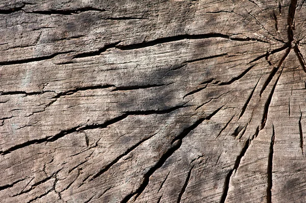 Vecchio legno incrinato — Foto Stock