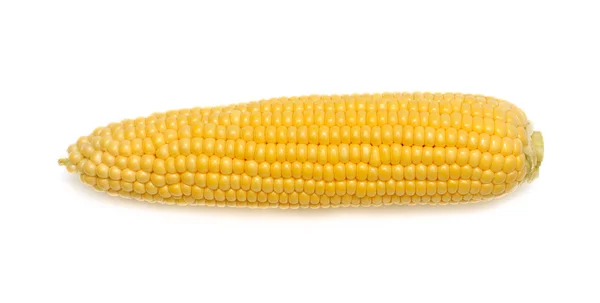 Verse maïs op witte achtergrond — Stockfoto