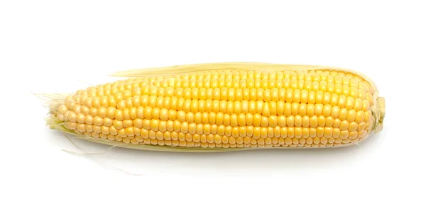 Verse maïs op witte achtergrond — Stockfoto
