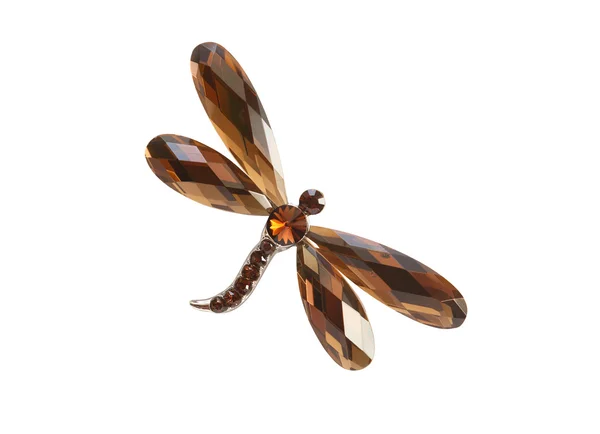 Brooch As Dragonfly — Stock Photo, Image