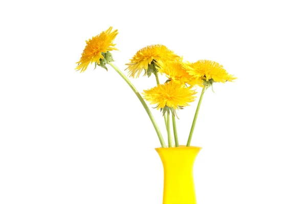 Dandelions In Vase — Stock Photo, Image
