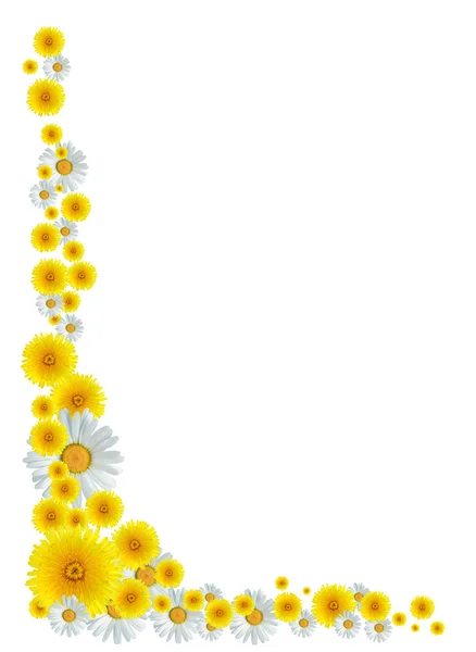 Květiny Okraj — Stock fotografie