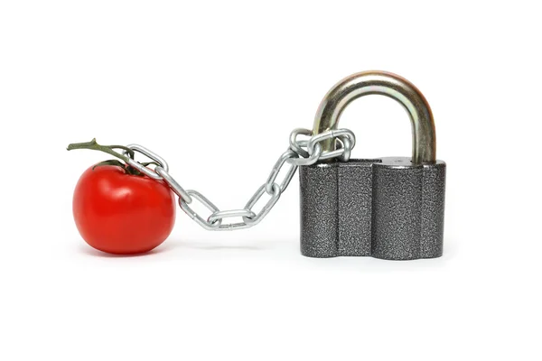 Pomidor w areszcie — Zdjęcie stockowe
