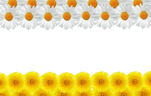 Moldura de flores — Fotografia de Stock