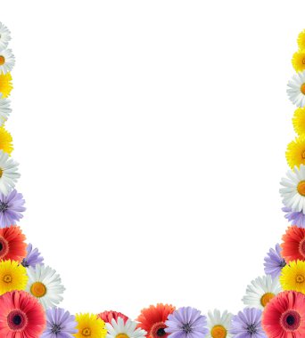 Flower Border clipart