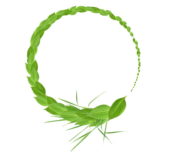 Liście zielone ramki — Zdjęcie stockowe