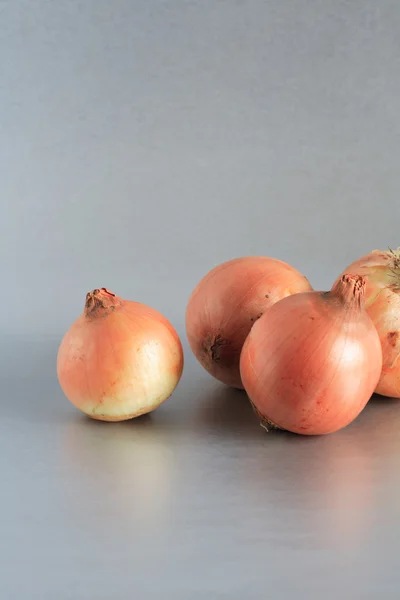 Zwiebeln auf grau — Stockfoto