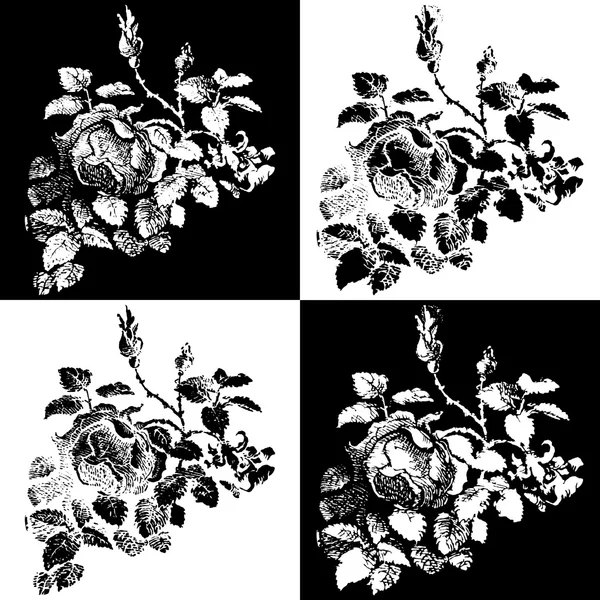 Vzor růže — Stockový vektor