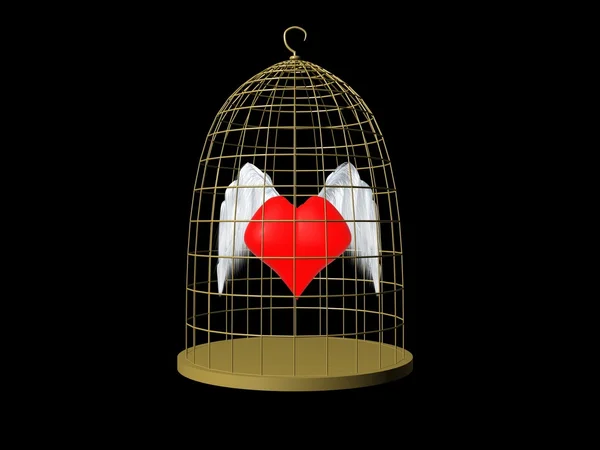 Coração na gaiola — Fotografia de Stock