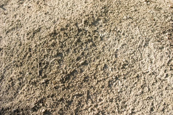 Beyaz kum — Stok fotoğraf