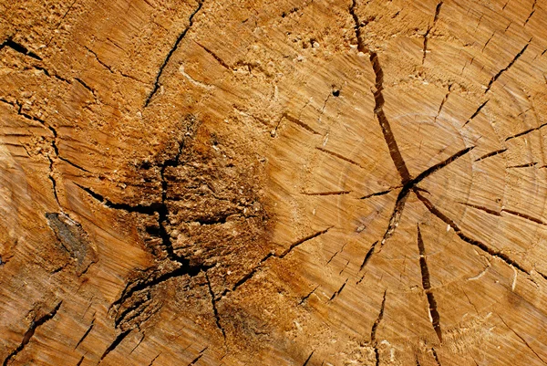 Drewniane — Zdjęcie stockowe