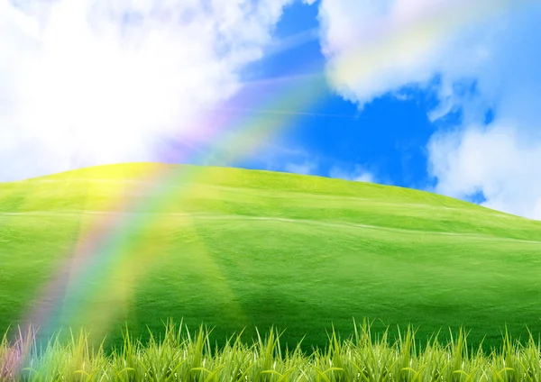 Regenbogen über einer grünen Lichtung — Stockfoto