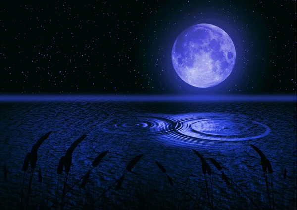 Fuldmåne afspejlet i vand - Stock-foto