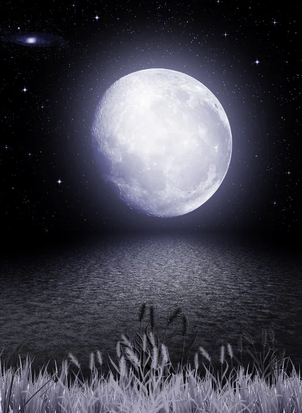 満月が水面に映る — ストック写真