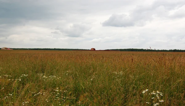 Landhaus in Feldern — Stockfoto