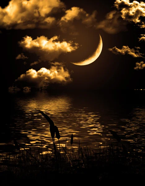 A hold fele vízben tükröződik. — Stock Fotó