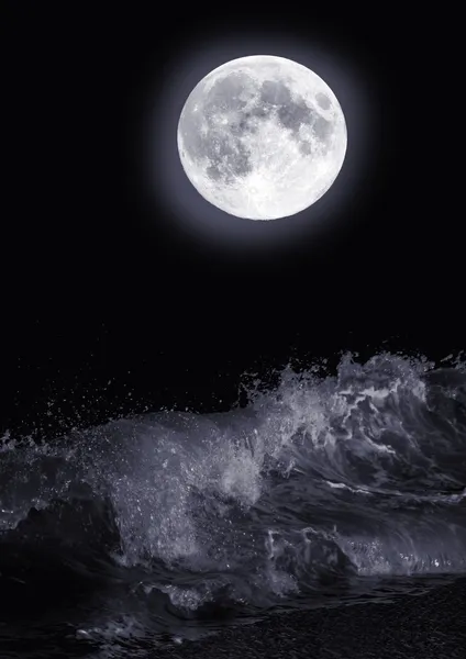 满月 — 图库照片