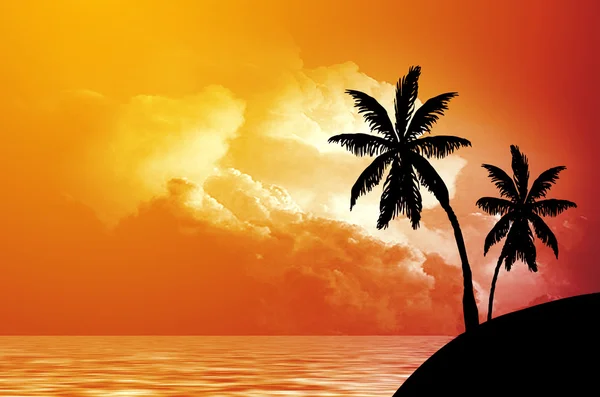 stock image Palm trees silhouette at sunset