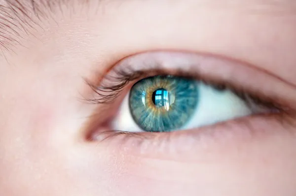 Eye with window reflection close up. — Stock Photo, Image