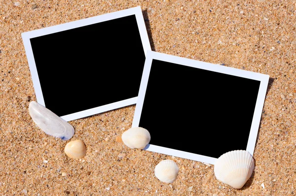 stock image Sea shells with photos on sand background.