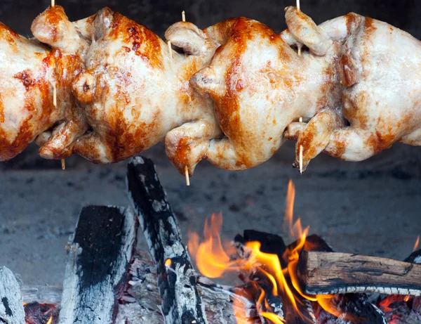 Stock image Chicken-grilled prepared over an open fire.