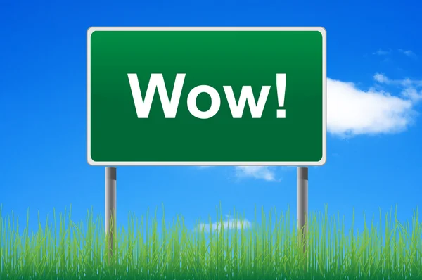 Wow road sign on sky background. Bottom grass. — Stock Photo, Image