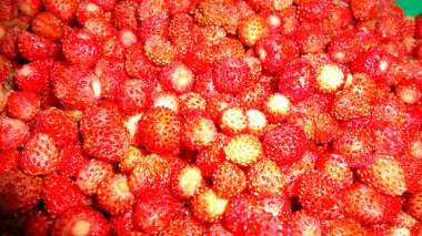 ahşap yabani çilek yakın çekim