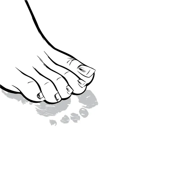 Human foot and its print.Vector illustration — Stock Vector