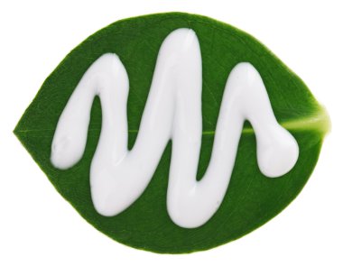 Moisturizer (cream) sample over green clusia leaf, isolated on w clipart