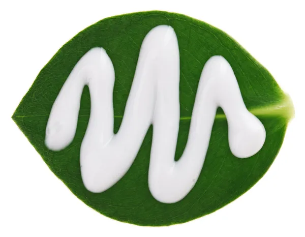 在绿色 clusia 叶，w 上孤立的润肤霜 （cream） 样本 — 图库照片