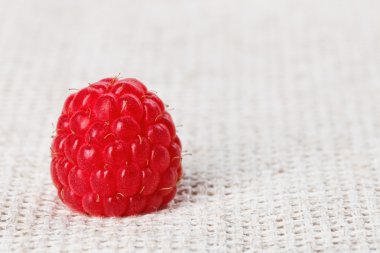 One red ripe raspberry fruit, on gray linen table cloth, macro clipart