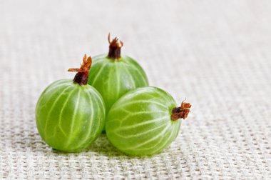 One gooseberry fruit, on gray linen table cloth, macro clipart