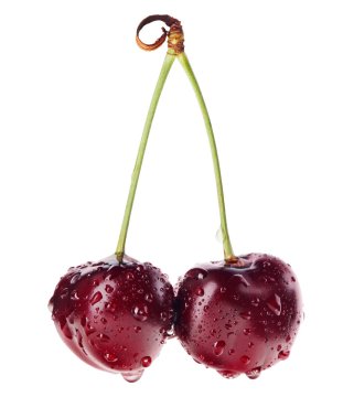 Pair of red ripe cherry fruit with water drops on green stem iso clipart