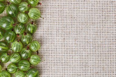 Many gooseberry fruits on gray linen table cloth with copy space clipart