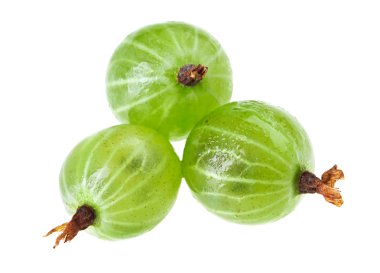 Three gooseberry fruits isolated on white macro clipart