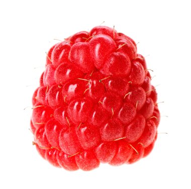 One red ripe raspberry fruit, isolated on white macro clipart