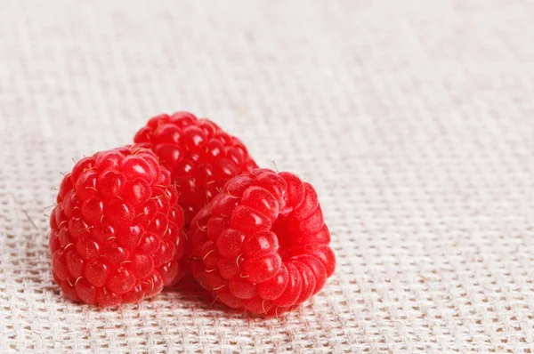 Three red ripe raspberry fruit, on gray linen table cloth, macro — Stock Photo, Image