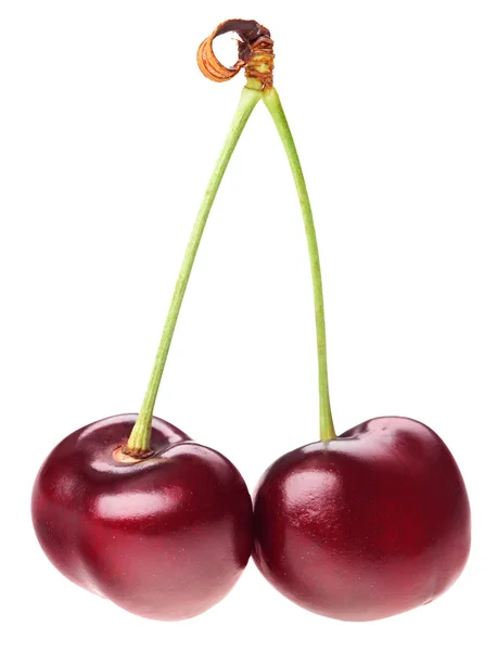 Para czerwony dojrzałe owoce wiśni (jagoda) z na białym tle o zielony łodyga — Zdjęcie stockowe