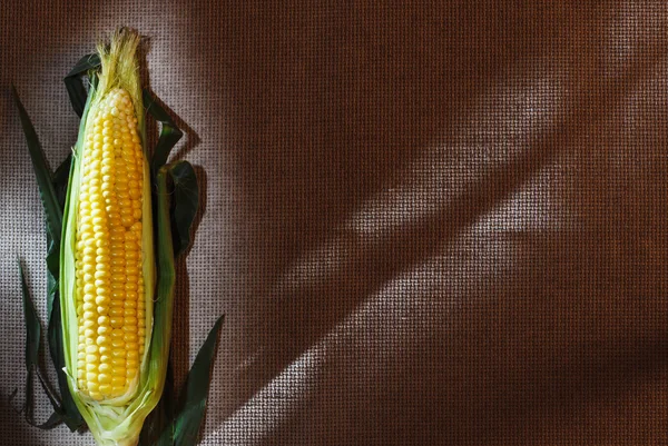 Uma orelha de milho indiano em tela de linho cinza, com design de espaço de cópia — Fotografia de Stock