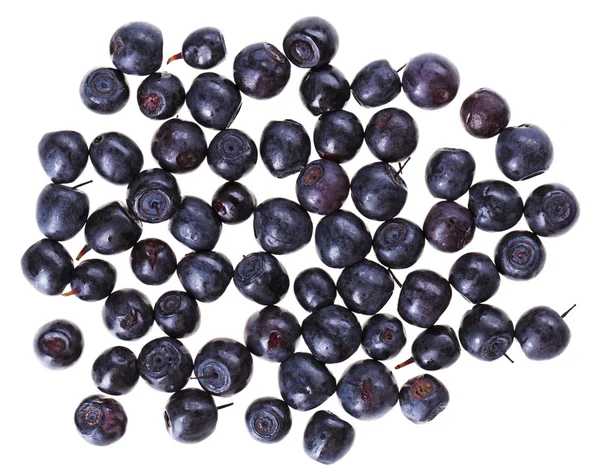 Many bilberry fruits isolated on white macro, food background — Stock Photo, Image